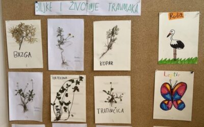 razredni projekt Biljke i životinje travnjaka