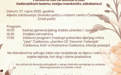 Festival Zajedništva: Sjajne žice ČađaVICE