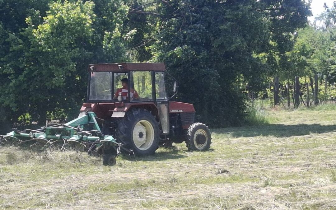 Radna akcija u PŠ Sopje